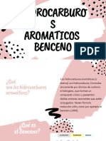 Hidrocarburos Aromaticos