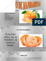 Cultivo de Mandarina 12