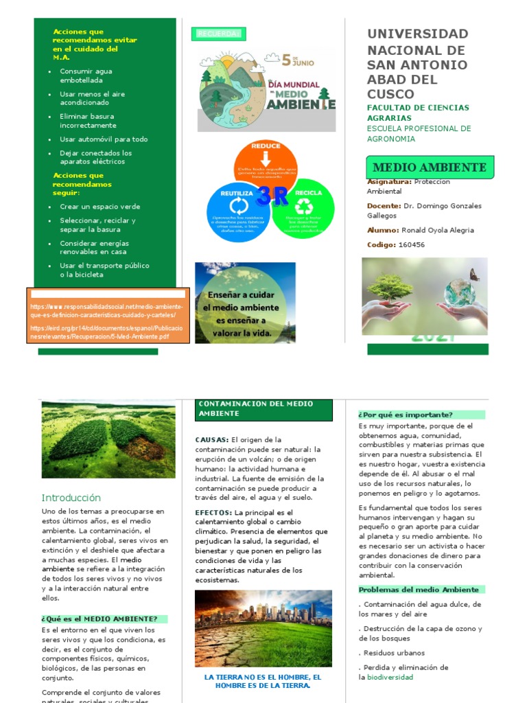 Triptico de MEDIO AMBIENTE | PDF | Entorno natural | Ciencias sociales ...