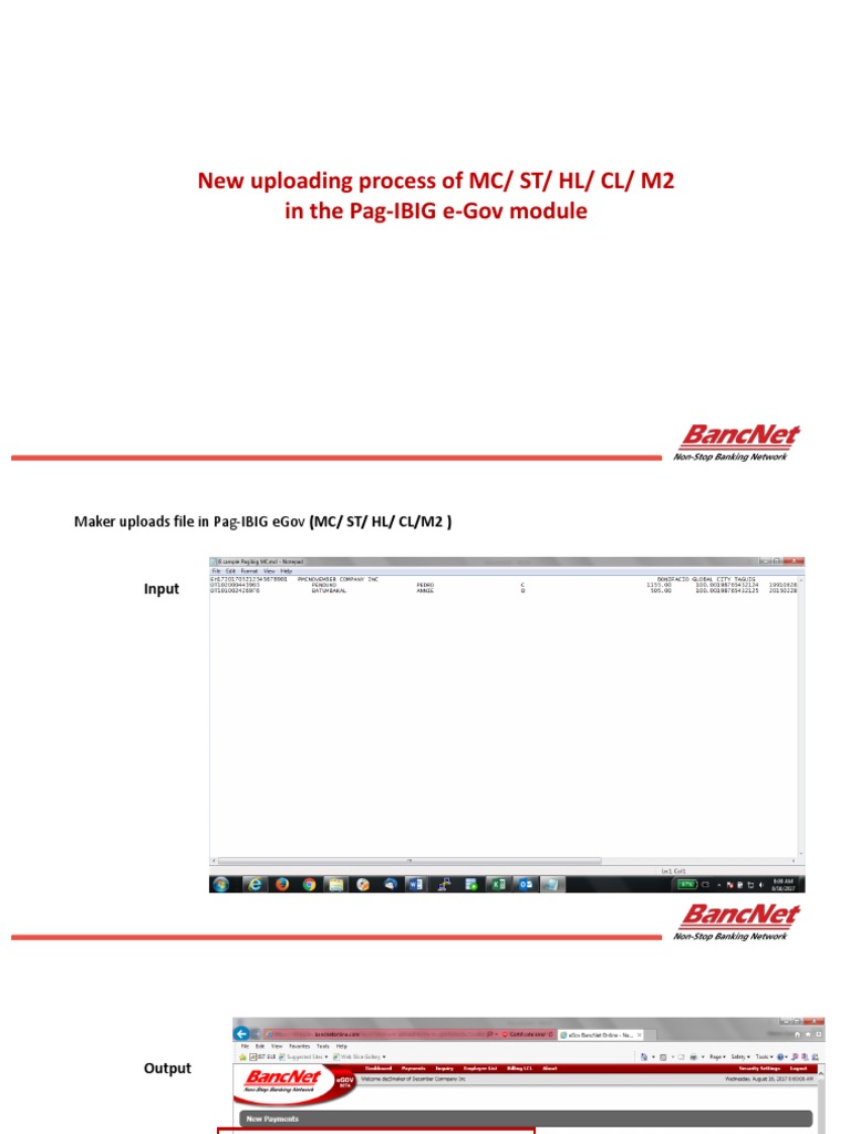 Pag-IBIG e-Gov File Upload Process | PDF