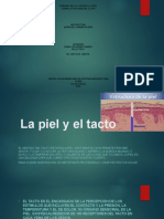 La piel y el tacto