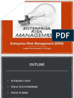 Enterprise Risk Management (Erm) : Geodita Woro Bramanti, ST, Mengsc