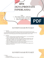 BPH (Benigna Prostate Hyperlasia)