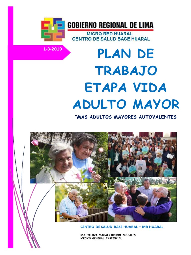Plan de Trabajo Adulto Mayor 2019 Huaral | PDF | Adultos | Vejez