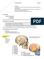 HUBS1105 Bones and Joints of The Skull and Face