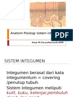 Anatomi Sistem Integumen