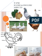 Poultry Poultry Products - 27 July 2020