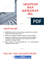 Adaptasi Dan Kematian Sel