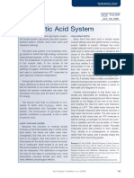 Terminology - The Lactic Acid System