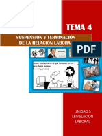 Tema 43