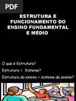 Apresentação1 estru e func