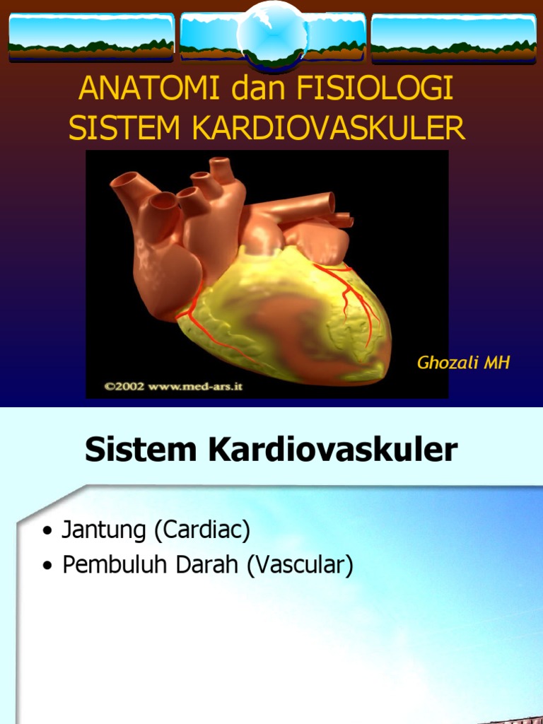 Anatomi Sistem Kardiovaskuler PDF