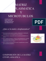 Matriz Citoplasmatica y Microtubulos.