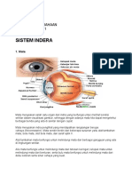 SISTEM INDERA