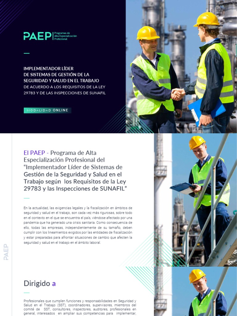 Implementador Líder - Lima - C) | Descargar gratis PDF | Seguridad y ...