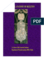 General Anatomy of Skeleton: Y.A.Guseva, PHD, Associate Professor, Department of Normal Anatomy, Bsmu, Minsk