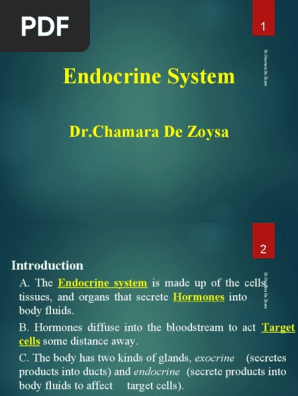 Endocrine System Week 3 Pdf Endocrine System Hormone