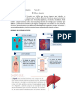 Tema #1 de Ciencias Naturales 5 Grado