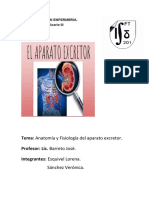 Anatomia y Fisiologia Aparato Excretor