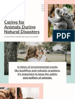 Pink and White Simple Photo Animal Welfare Natural Disaster Keynote Presentation