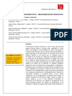 Informe Nitrobromobenceno Organica I