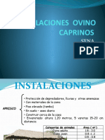 91078203 Instalaciones Ovino Caprinos