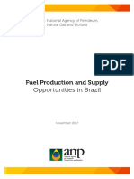 Fuel Production and Supply Opportunities in Brazil