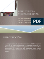 Inteligencia visual-espacial