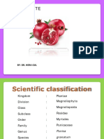 Pomegranate: By: Dr. Hera Gul