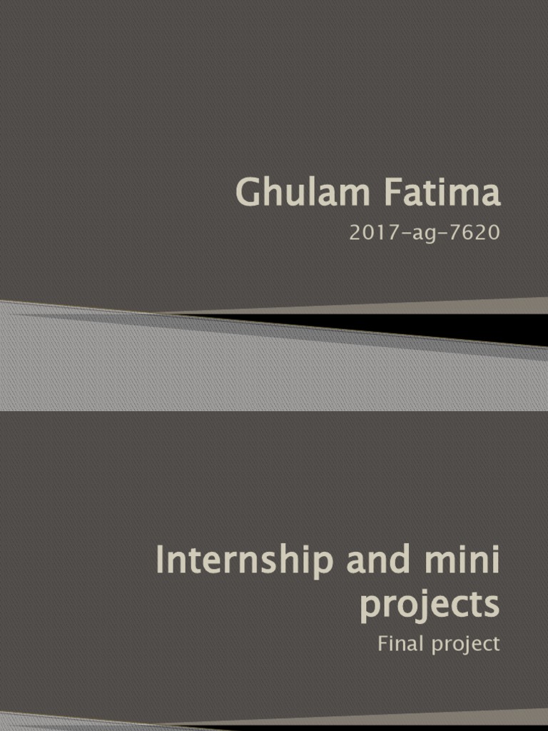 Textile Internship Projects Overview | PDF