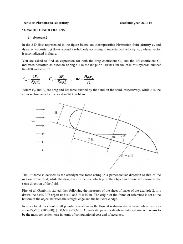 Transport Phenomena Lab Final Report | PDF | Fluid Dynamics | Lift (Force)