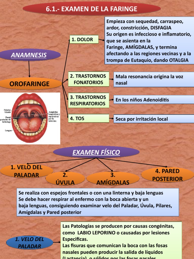 Examen de Faringe y Laringe: Guía Clínica | PDF | Tos | Medicina