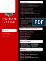 Nathan Lyttle: Experience