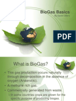 Biogas Basics: by David Cilliers