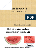 Unit 6: Plants: Fruits and Seeds