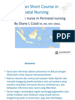 Topic 2 - Role of Nurse Short - Indo - DN