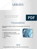 SNP Arrays: Detección de Polimorfismos de un Solo Nucleótido