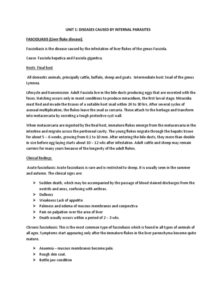 Animal visual data 3