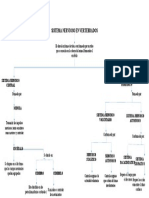 Sistema Nervioso en Vertebrados