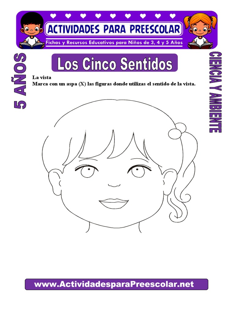 Los 5 Sentidos Para Tercero De Primaria Fichas Para Imprimir