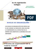 Niveles de Organizacion