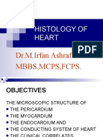 Histology of Heart: Dr.M.Irfan Ashraf MBBS, MCPS, Fcps