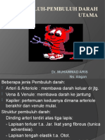 Pembuluh-Pembuluh Darah Utama