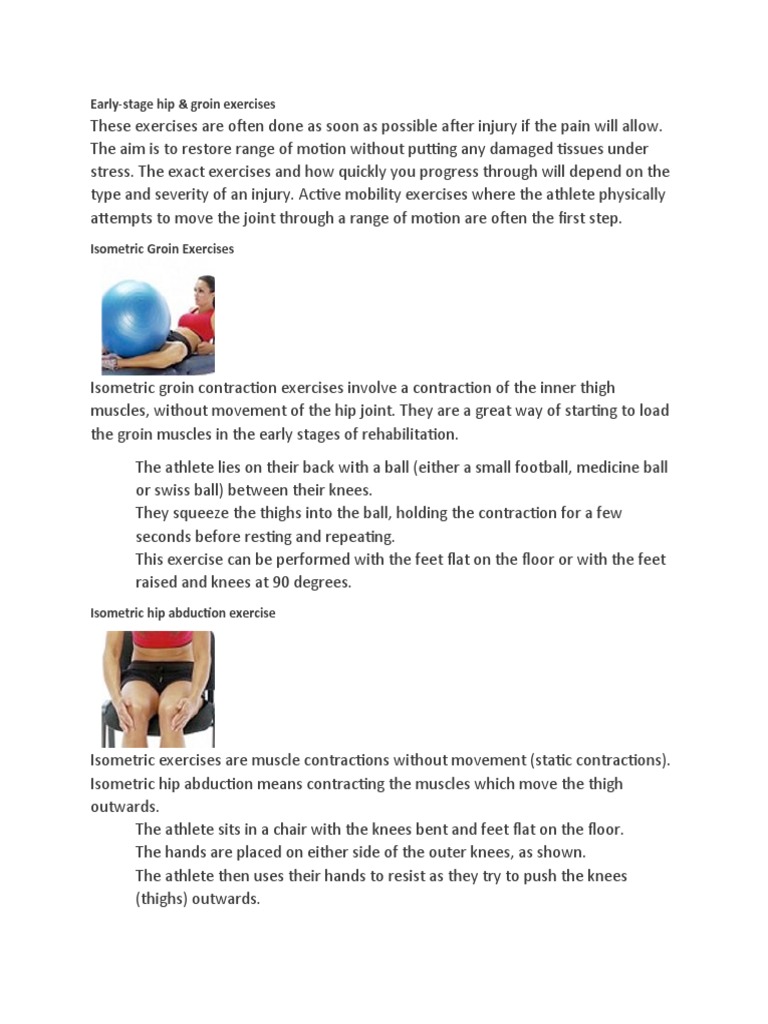 Hip and Groin Exercises Download Free PDF Anatomical Terms Of Motion Hip