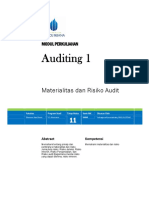 11 - Audit