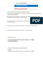 Cours n2 Énergie Biologique