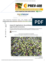 Acque Di Vegetazione - Da Problema Ambientale Ad Opportunità Economica - AgroNotizie - Economia e Politica