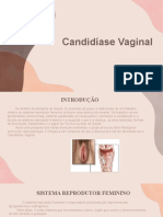 Candidíase Vaginal: Sintomas, Causas e Tratamento