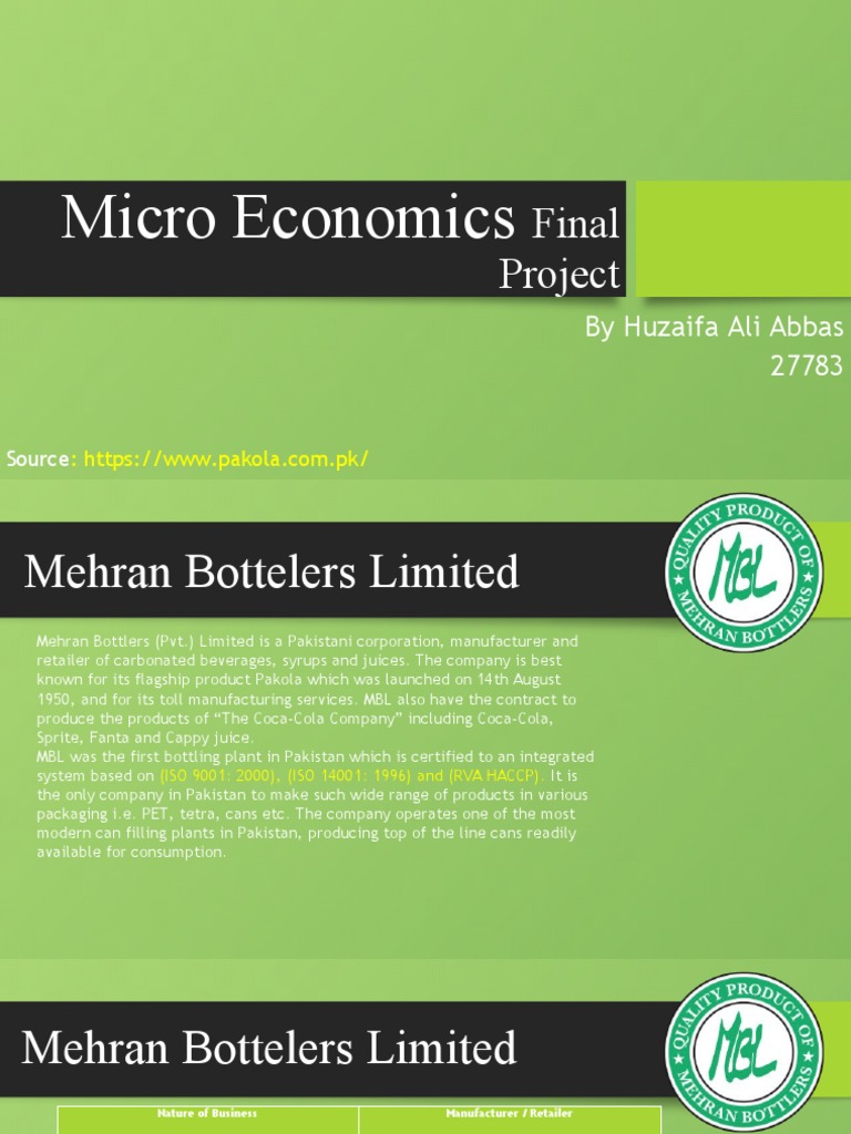 Micro Economics Final Project | PDF | Economic Surplus | Supply (Economics)