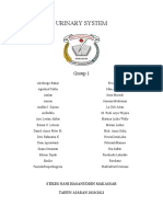 The Urinary System: Anatomy, Physiology and Common Diseases